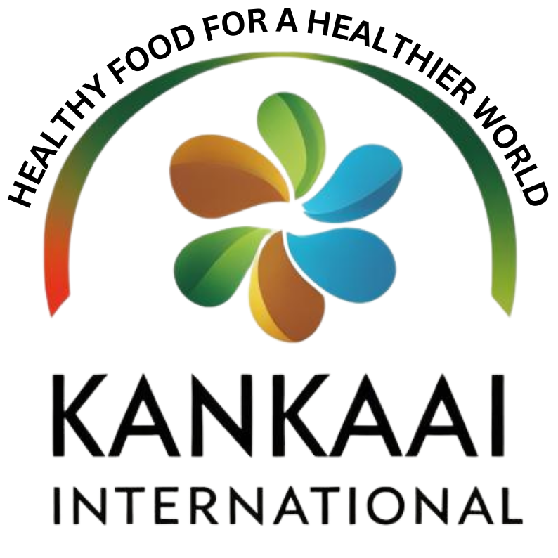 Kankaiiinternational-logo